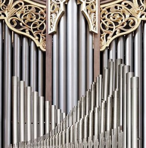 organ11